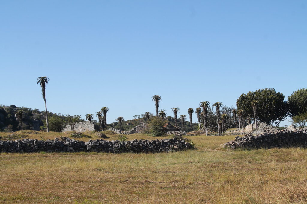 Chinese tourists renew Zim’s tourism prospects