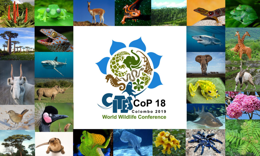 Acting Tourism Minister gives feedback from CITES
