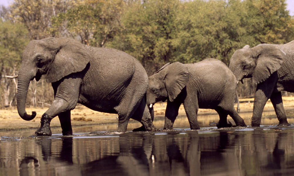 Govt pressured to cancel mining in National Parks | Tourism Focus