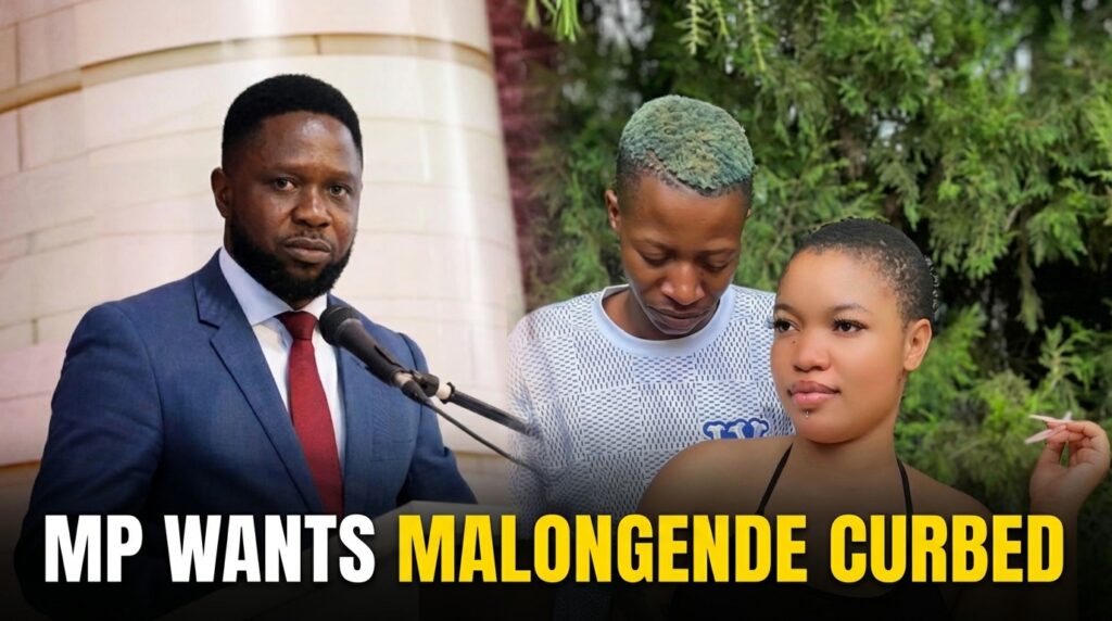 MP wants Malloti, Hulengende Curbed
