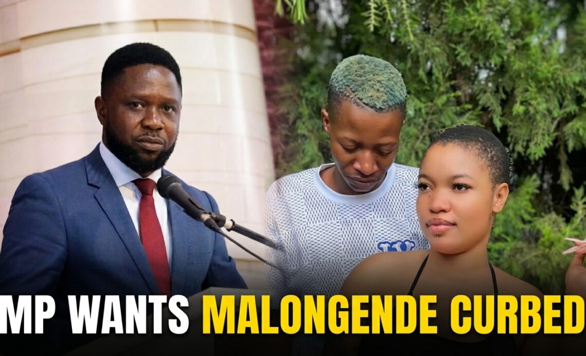 MP wants Malloti, Hulengende Curbed